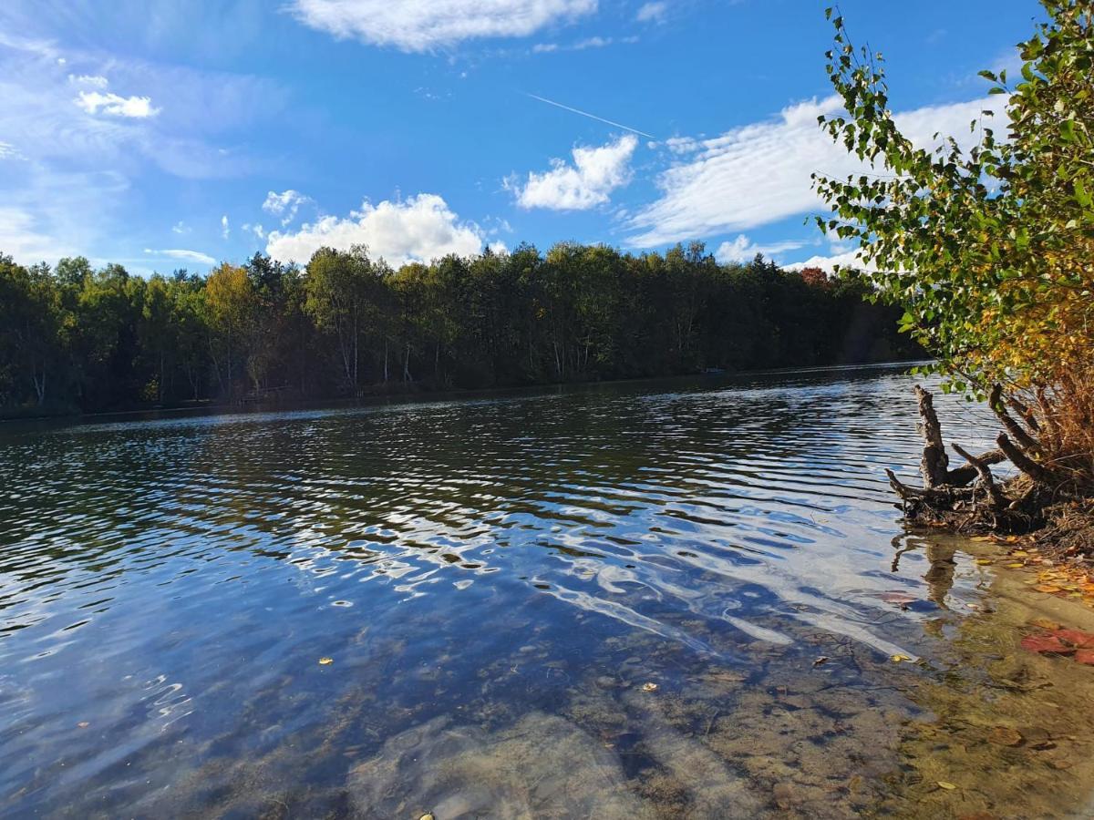 Ferienwohnung Am See Dillich - Eigener Garten - Ruhige Lage - Natur Vor Der Haustuer Borken  Extérieur photo