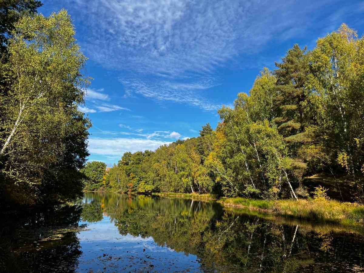Ferienwohnung Am See Dillich - Eigener Garten - Ruhige Lage - Natur Vor Der Haustuer Borken  Extérieur photo