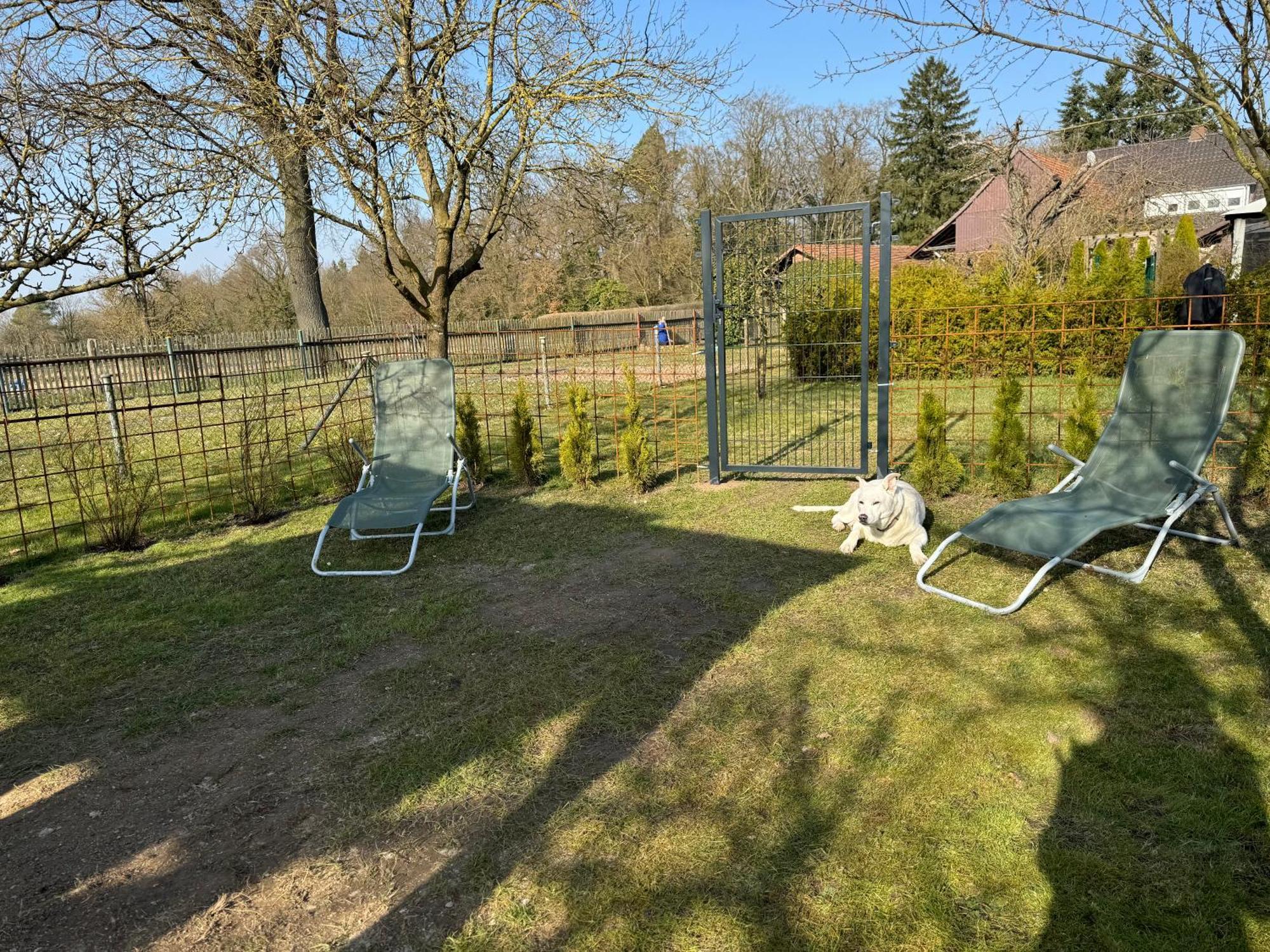 Ferienwohnung Am See Dillich - Eigener Garten - Ruhige Lage - Natur Vor Der Haustuer Borken  Extérieur photo